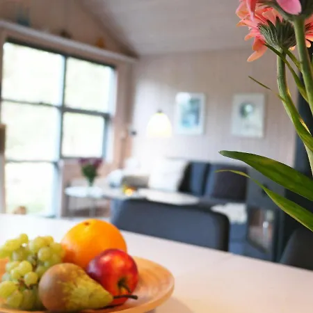 Semesterbostad 6 Person Holiday In Fjerritslev Torup Strand